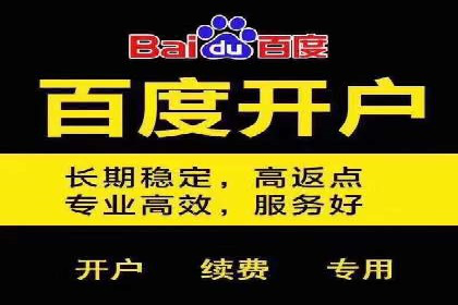 实战解析：SEM网络推广成功案例分享