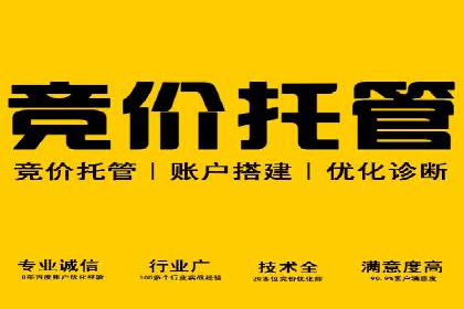 成功案例揭秘：SEM竞价代运营的五大关键点
